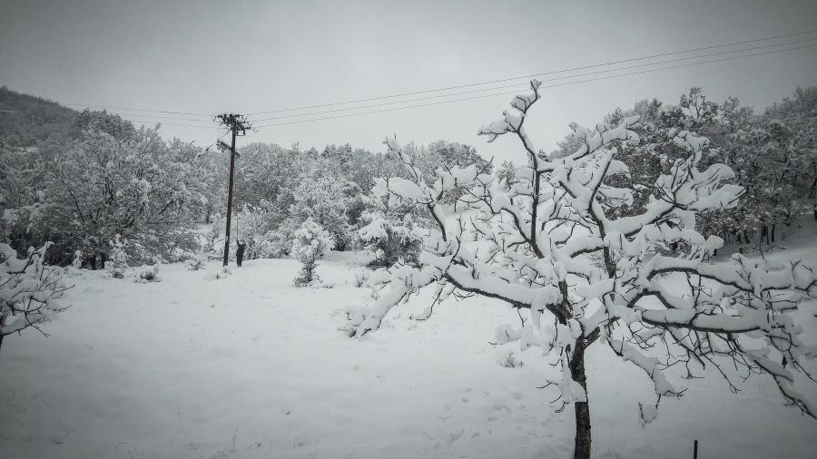 Τσουχτερό κρύο και πολικές θερμοκρασίες σε αρκετές περιοχές της χώρας – Τι καιρό θα κάνει έως το τέλος του χρόνου