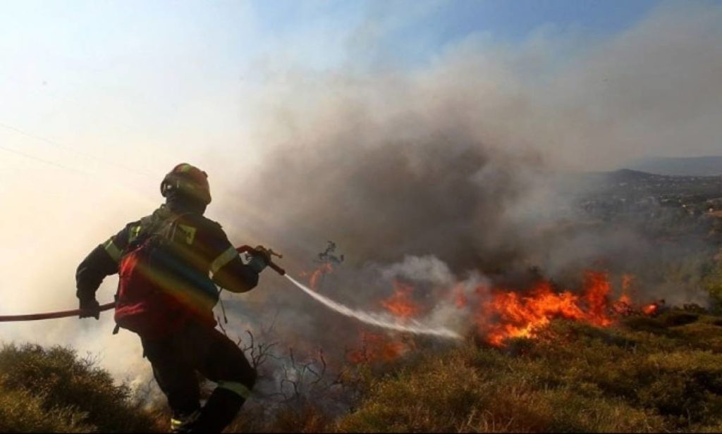 Ξέσπασε η πρώτη δασική πυρκαγιά της χρονιάς στη Θεσσαλονίκη