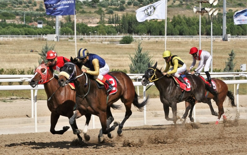 Markopoulo Park: Δέκα καθαρόαιμοι ίπποι διεκδικούν το Κύπελλο Ηνιόχου