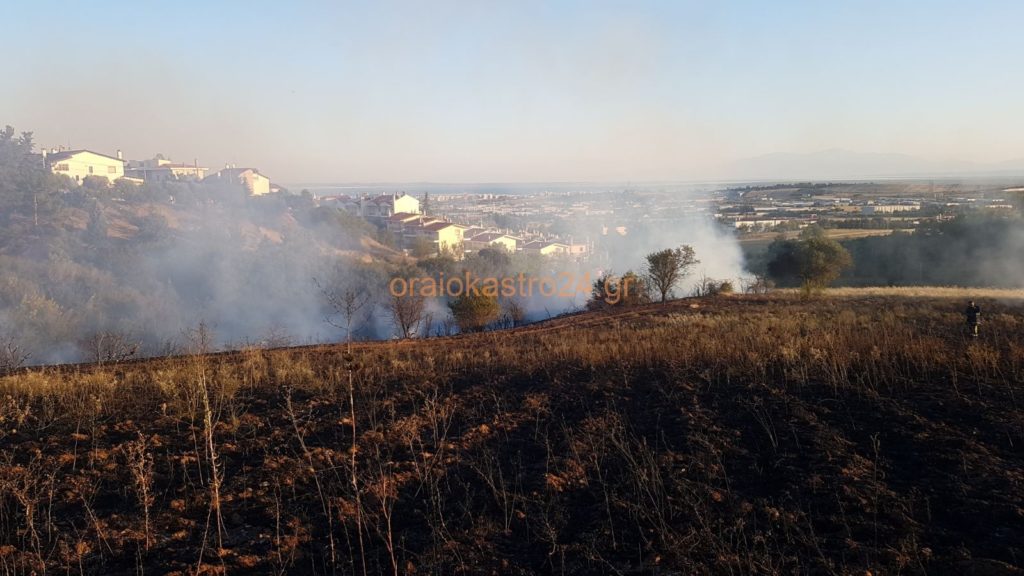 Φωτιά σε δασική έκταση στο Ωραιόκαστρο Θεσσαλονίκης (Photos – Video)