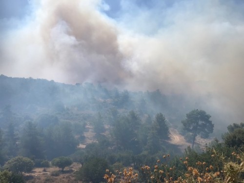 Κύπρος: Μεγάλη πυρκαγιά σε εξέλιξη στην περιοχή της Δοράς