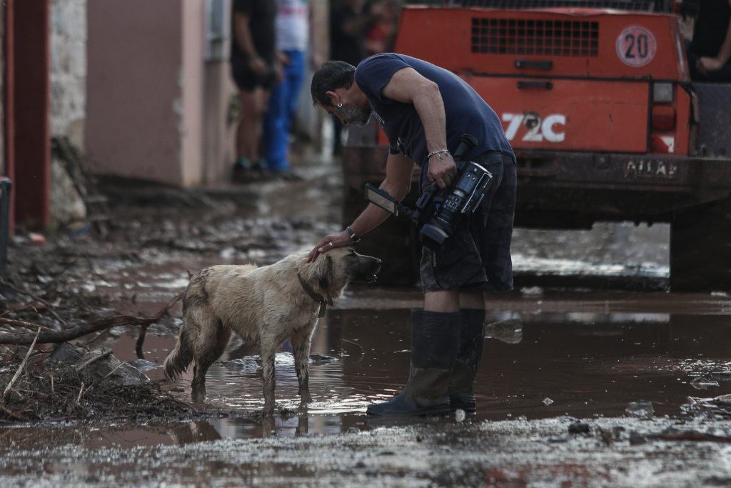 Η επόμενη ημέρα στην Εύβοια μετά την καταστροφή σε φωτογραφίες (Photos)