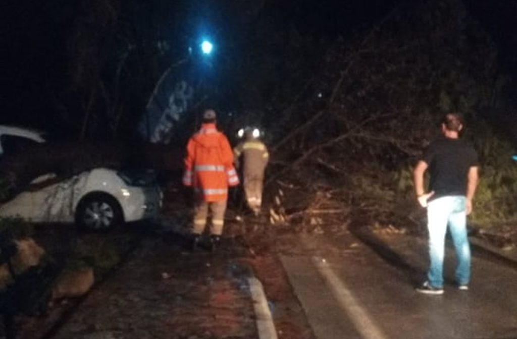 «Ιανός»: Eικόνες από την Ηλεία (Photos)