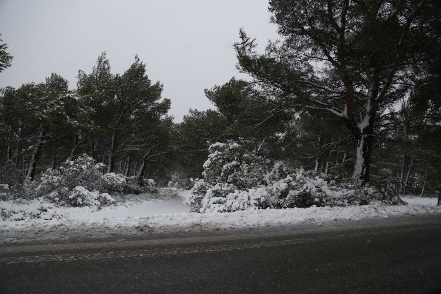 Διακόπηκε λόγω χιονόπτωσης η κυκλοφορία στη λεωφόρο Πάρνηθας