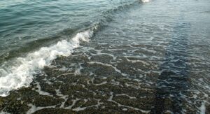 Πιερία: Από την παραλία του Πλαταμώνα ανασύρθηκε νεκρός ένας 54χρονος