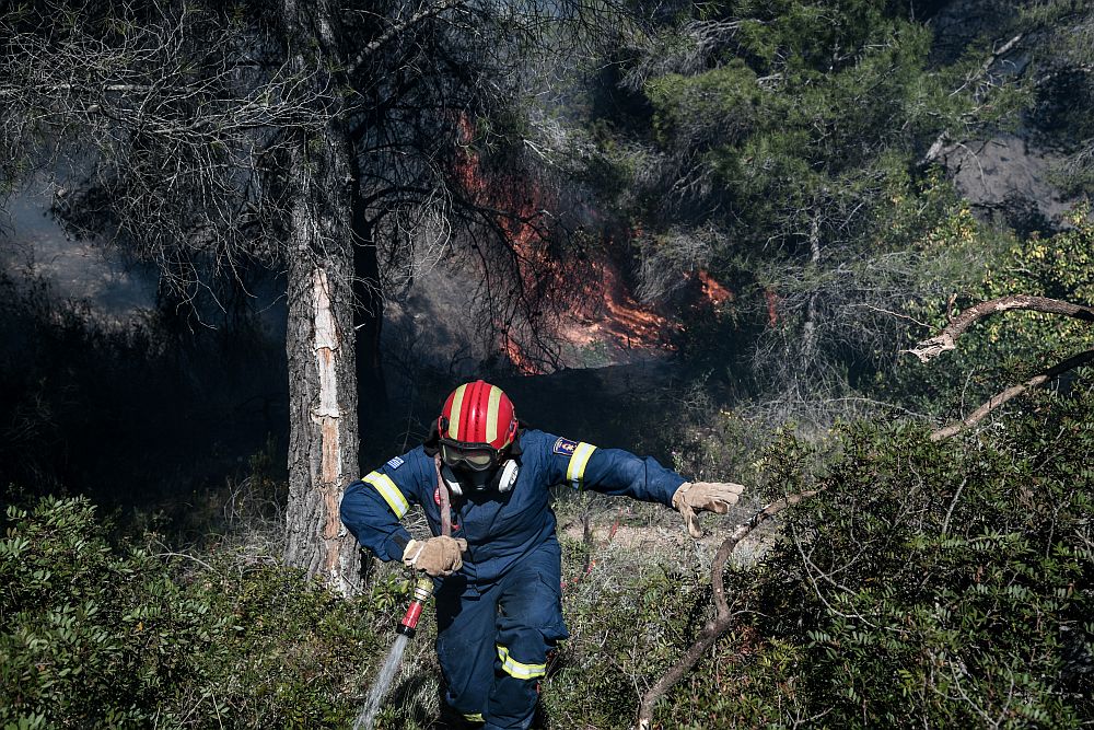 Υπό έλεγχο η πυρκαγιά στην Κερατέα: Πέρασε από αυλές σπιτιών η φωτιά – Εκκενώθηκαν προληπτικά κατοικίες