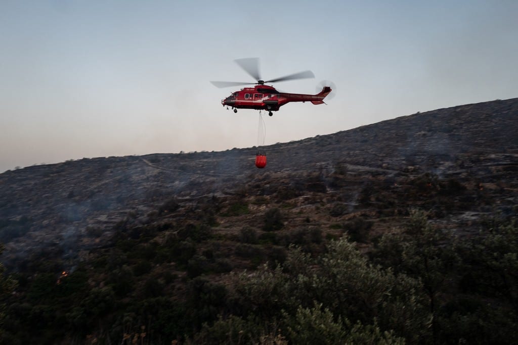 Φωτιά στο Ρέθυμνο – Ανησυχία για το φοινικόδασος