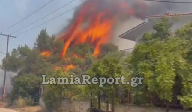 Καίγεται και ο Θεολόγος στη Φθιώτιδα – Δόθηκε εντολή εκκένωσης (Video)
