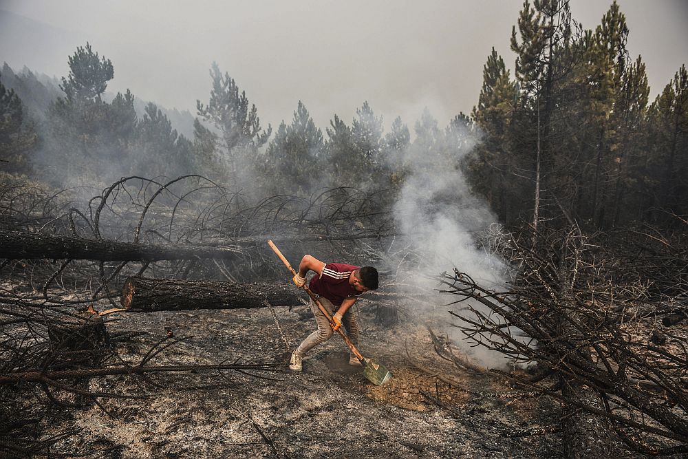 Πυρκαγιές στην Τουρκία: Κρανίου τόπος το Γκιουντογμούς στην επαρχία της Αττάλειας (Video)