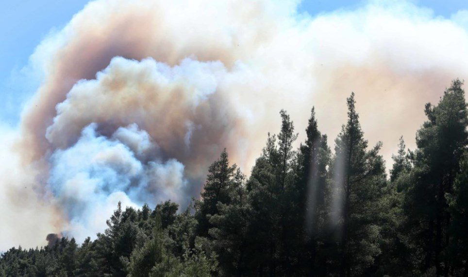 Χαλκιδική: Σε ύφεση η φωτιά στη Σιθωνία