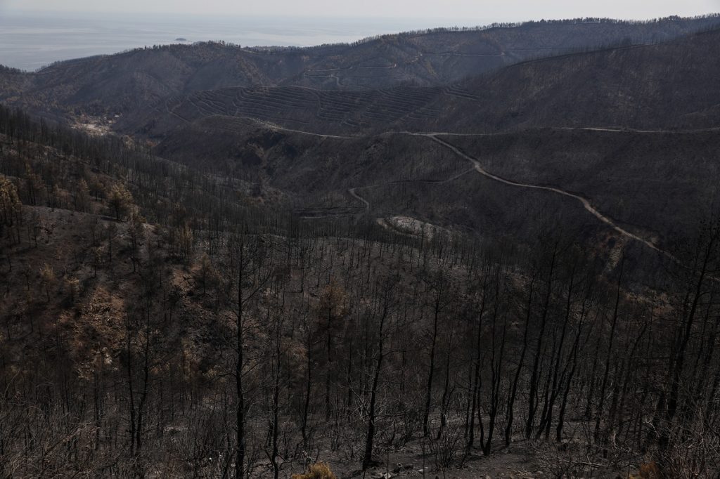 Συλλαλητήριο ρητινοκαλλιεργητών το Σάββατο με σύνθημα «όλοι στον αγώνα για να μείνουμε στον τόπο μας»