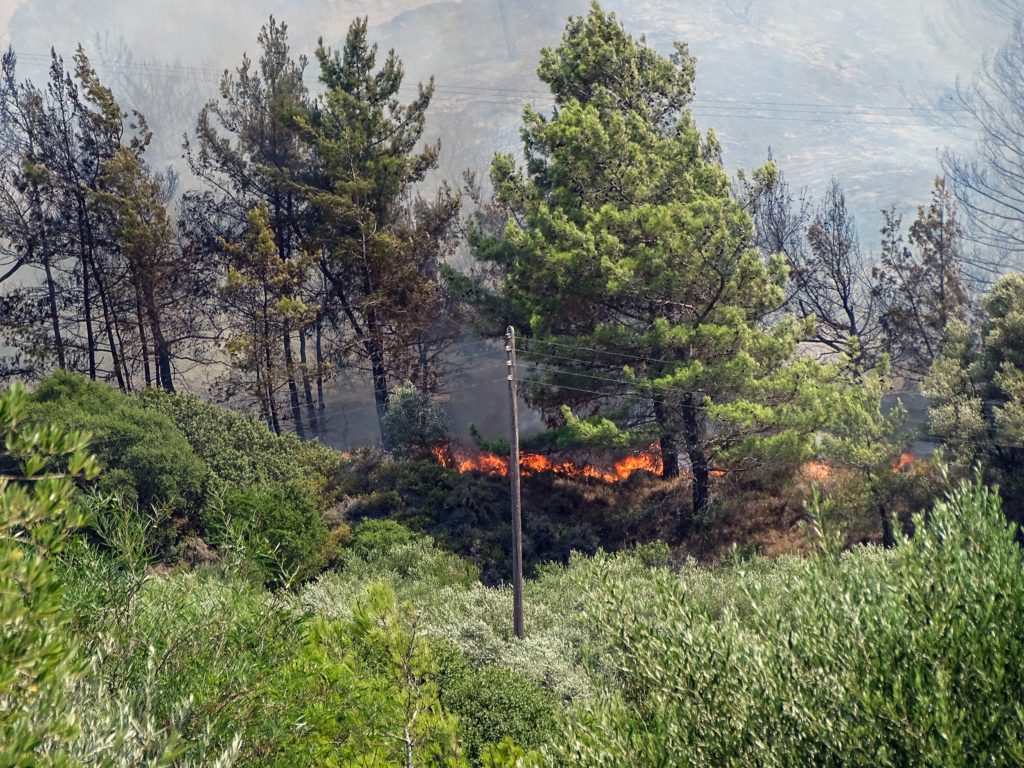 Φωτιά – Ρόδος: Τέθηκε υπό έλεγχο η αναζωπύρωση στην περιοχή Καλαμώνας