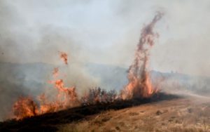 Ξάνθη: Φωτιά σε δασική έκταση στην περιοχή Τοξότες