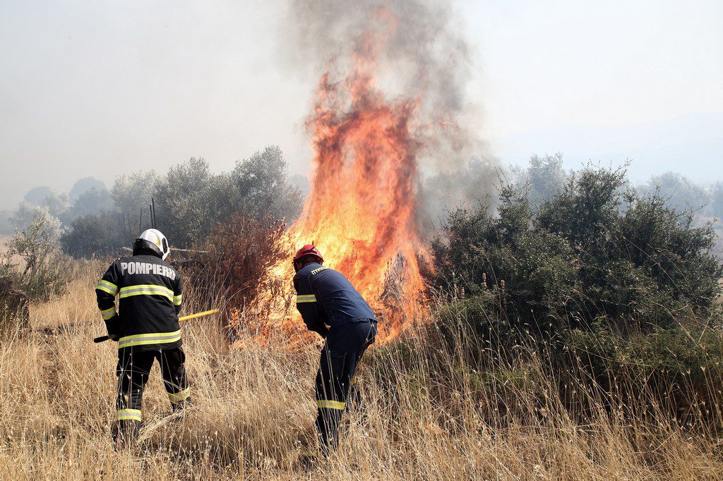 Υπό έλεγχο η πυρκαγιά στο Οροπέδιο Λασιθίου