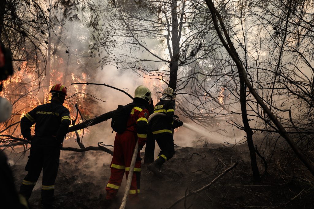 Υπό έλεγχο η πυρκαγιά στον Μίστρο Ευβοίας