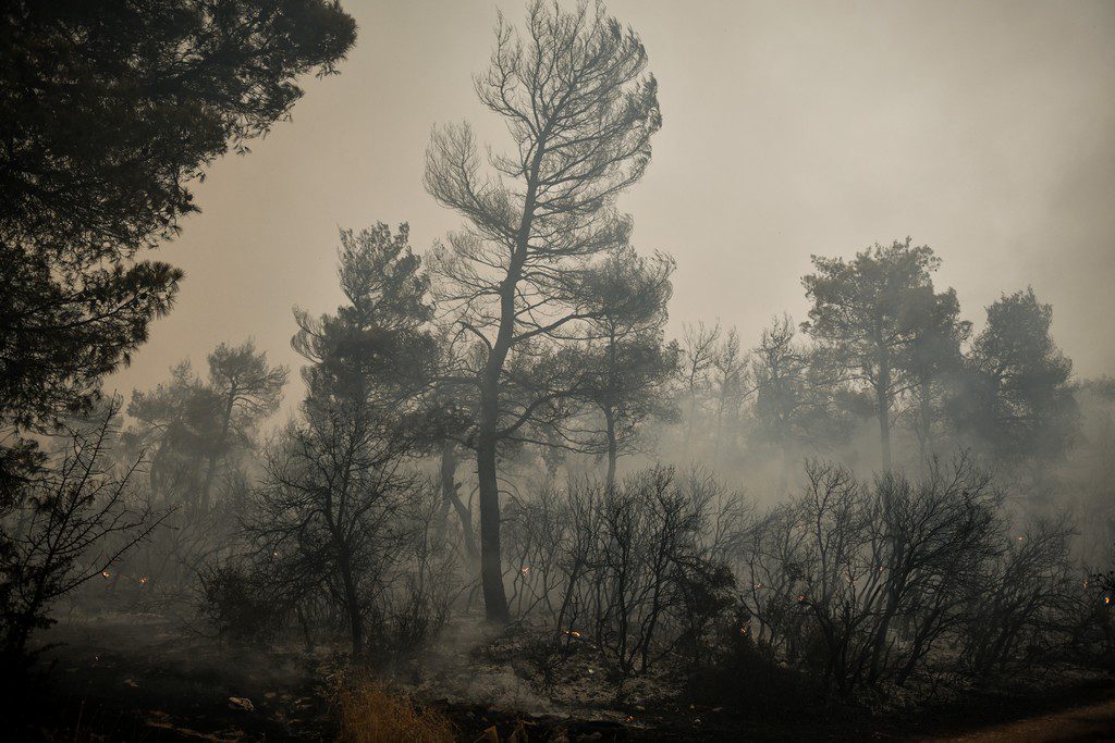 Συνεργάτης οικογένειας Μητσοτάκη για πυρκαγιές: Σκληρή κριτική για το επιχειρησιακό φιάσκο της κυβέρνησης