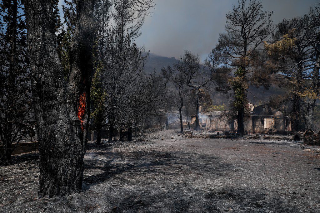 Τραγικός απολογισμός: Πάνω από 94.000 στρέμματα κάηκαν στα Βίλια – 5.317 στην Κερατέα