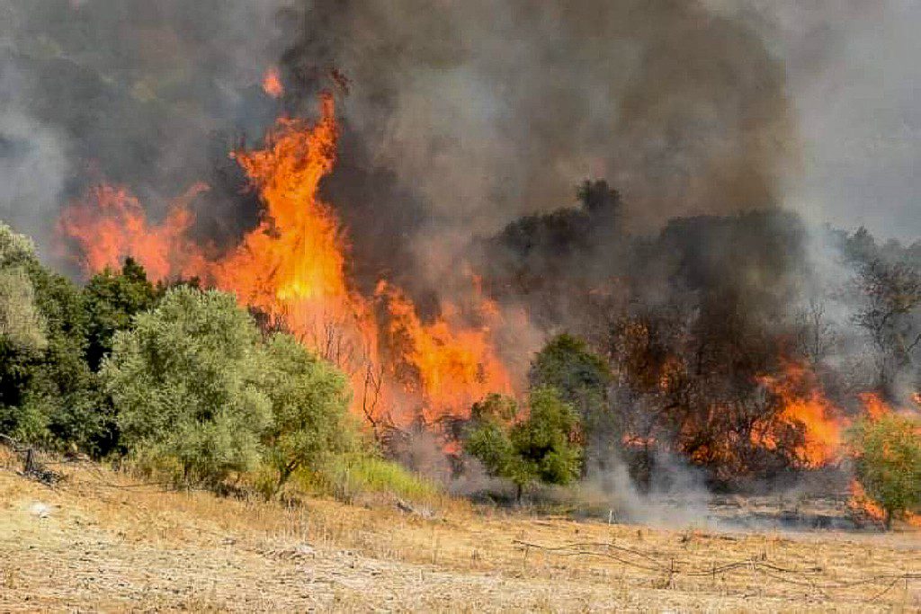 Μάχη με τις φλόγες και στη Μεσσηνία: Η φωτιά έχει περικυκλώσει το χωριό Καρνάσι (Συνεχής ενημέρωση)