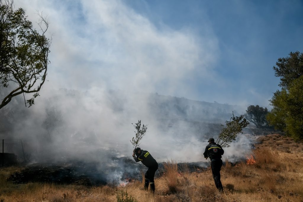 Πυρκαγιά στην Κερατέα – Σε χαμηλή βλάστηση κοντά στο Δασκαλιό