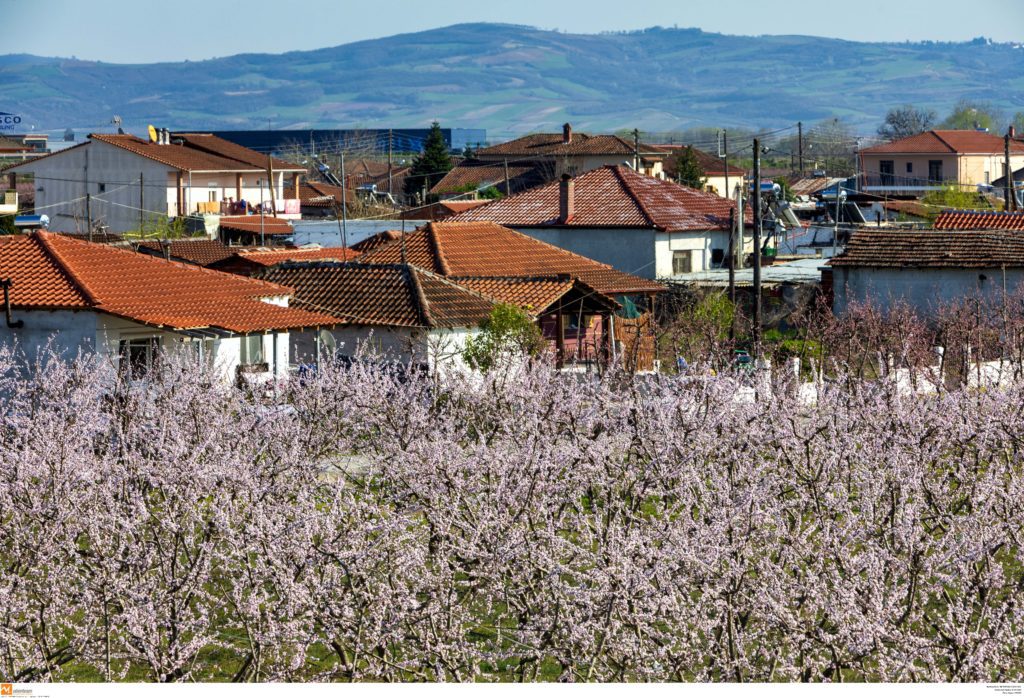 Μητέρα και κόρη πέθαναν στην Ημαθία από κορονοϊό – «Ο πνευματικός την έστειλε στον άλλο κόσμο», λέει οργισμένος ο γιος της 60χρονης