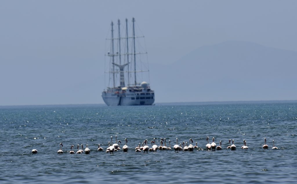 Εν πλω εντοπισμός κρουσμάτων διακόπτει κρουαζιέρες πρόωρα