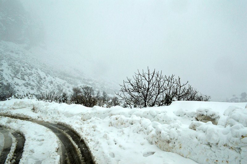 Εύβοια: Οι χιονοπτώσεις «κλείνουν» τα σχολεία στους περισσότερους δήμους