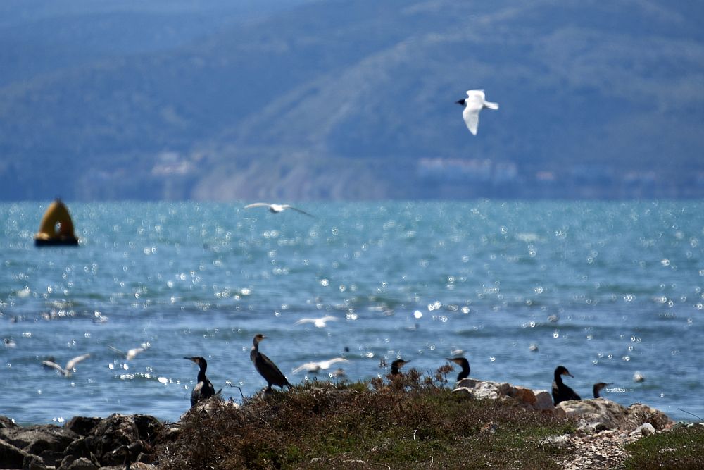 Καιρός: Με 24 βαθμούς και ήλιο η Παρασκευή, υποχωρεί η σκόνη