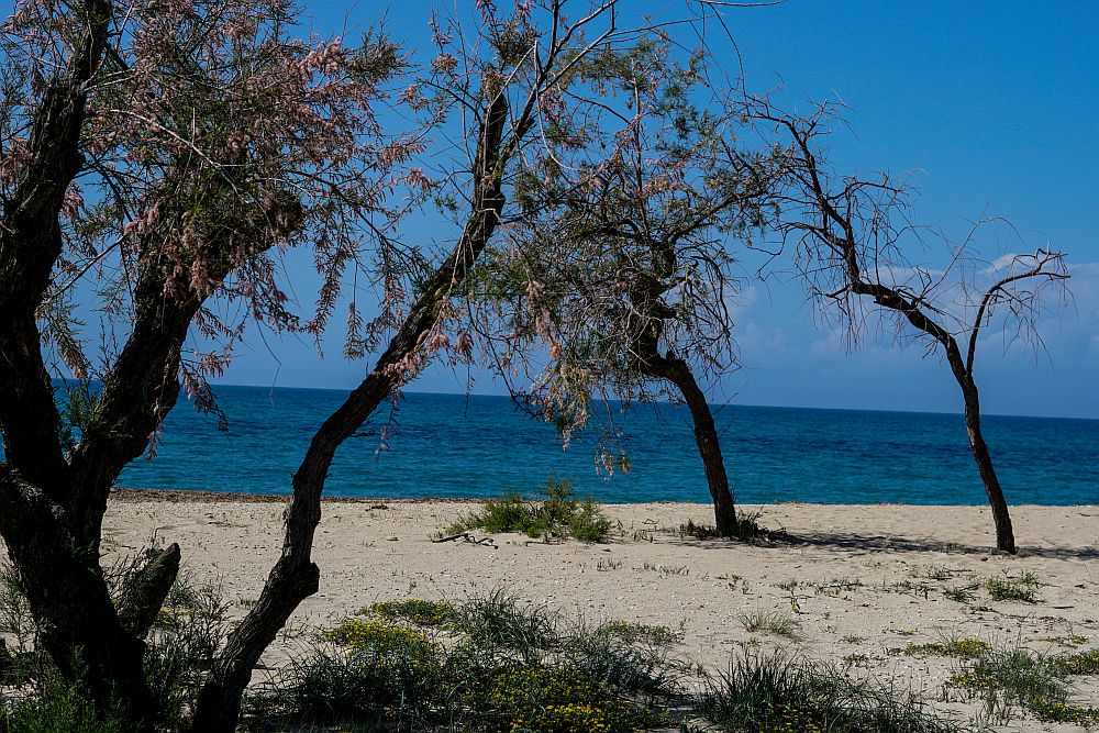 Καιρός: Ζέστη και θερμοκρασία έως 27 βαθμούς Κελσίου – Πού θα σημειωθούν σποραδικές καταιγίδες