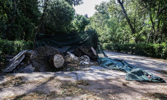 ΕΘΝΙΚΟΣ ΚΗΠΟΣ