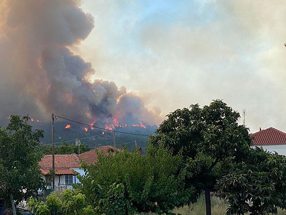 Φωτιά στον Έβρο: Στις φλόγες το δάσος της Δαδιάς – Στον πυρήνα του ώριμου πευκοδάσους η πυρκαγιά (Video)