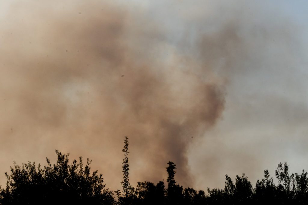 Η Εθνική Ασφαλιστική για τους πληγέντες από τις καταστροφικές πυρκαγιές σε Βόρεια και Ανατολική Αττική