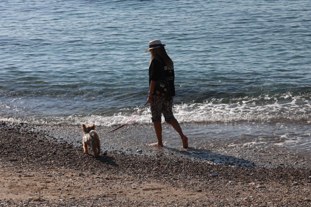 Καιρός: Έως 20 βαθμούς Κελσίου η θερμοκρασία – Ολοταχώς για ζεστή Πρωτοχρονιά