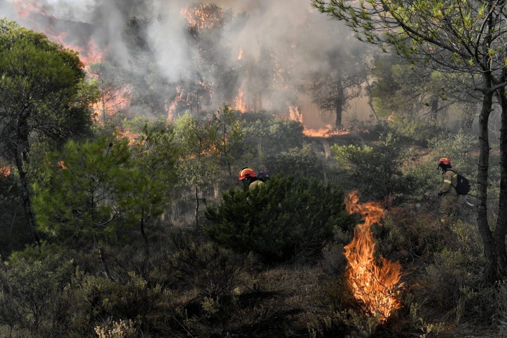 Υπό μερικό έλεγχο η πυρκαγιά σε δασική έκταση στην Καλλιθέα Λουτρακίου