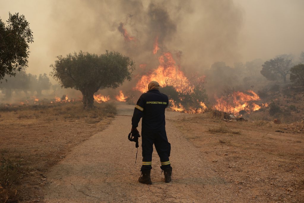 Πυρκαγιές: Πάνω από 160.000 καμένα στρέμματα – Τι δείχνουν τα στοιχεία