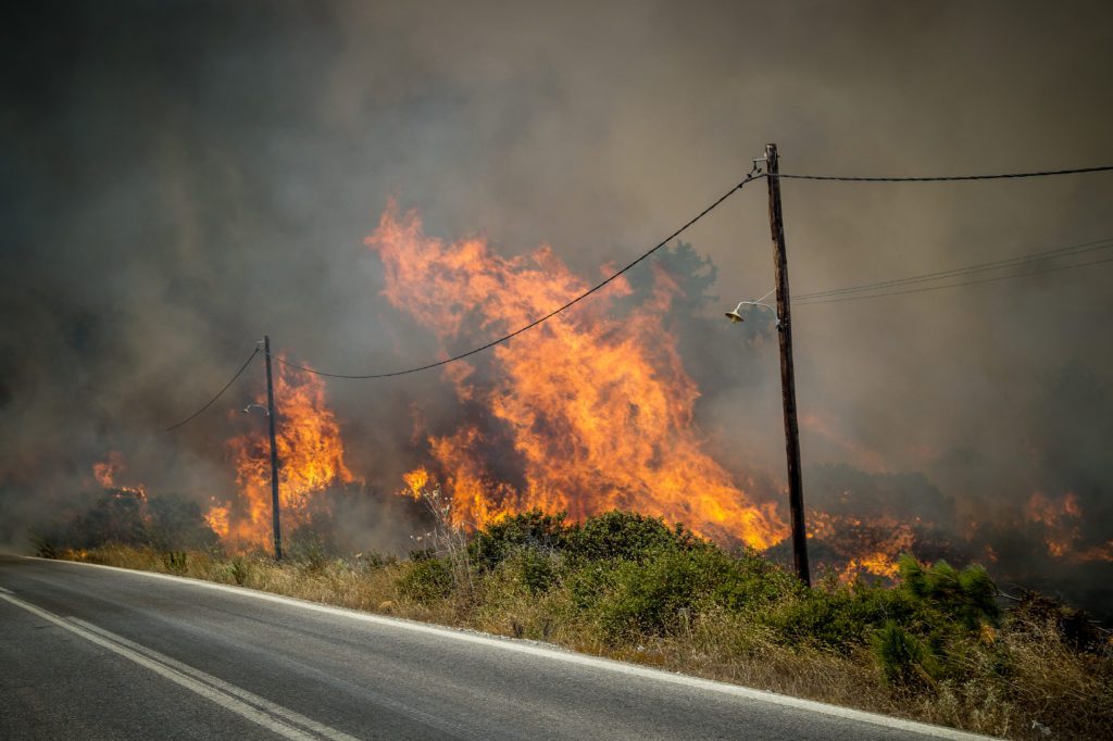 Χανιά: Συνελήφθη εμπρηστής – Κατηγορείται για πρόκληση φωτιάς από πρόθεση