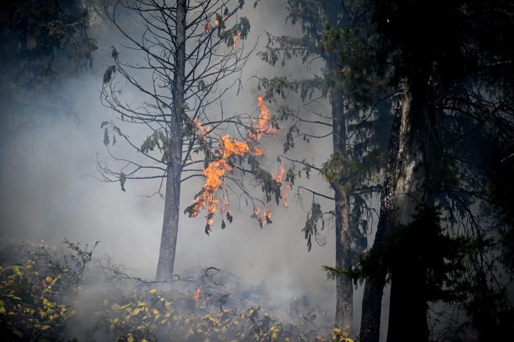 Γυναίκα εντοπίστηκε νεκρή σε τροχόσπιτο στο Χοροστάσι Μαγνησίας (Video)