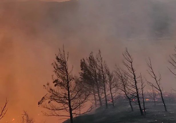 Μάχη για την κατάσβεση της φωτιάς στα Απόλλωνα της Ρόδου