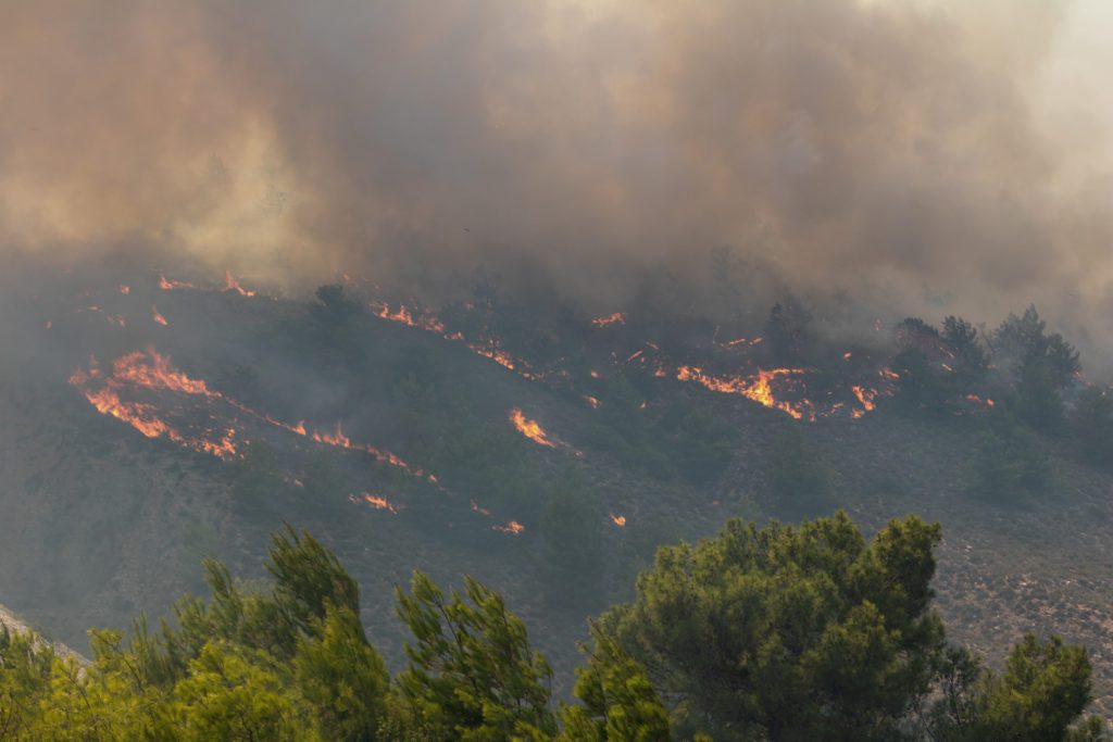 Ο καπνός από τη φωτιά στην Αλεξανδρούπολη έφθασε στο Πήλιο