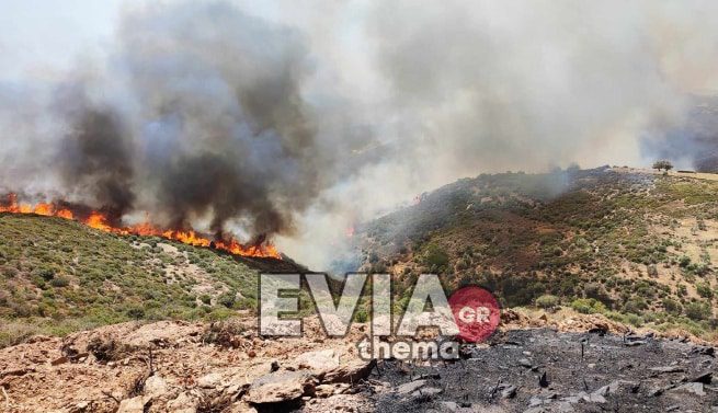 Εύβοια: Ώρες αγωνίας για τη φωτιά στην Κάρυστο – Αγνοείται 41χρονος κτηνοτρόφος (Video)