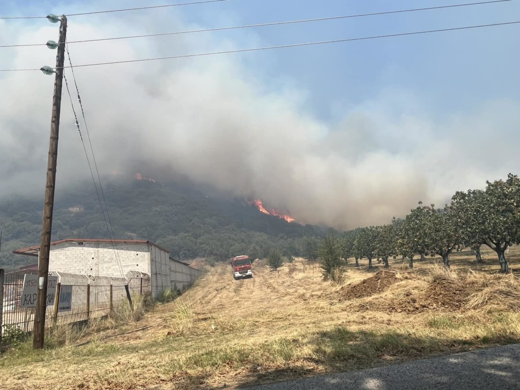 Μεγάλη φωτιά στη Μακρακώμη Φθιώτιδας (Video)