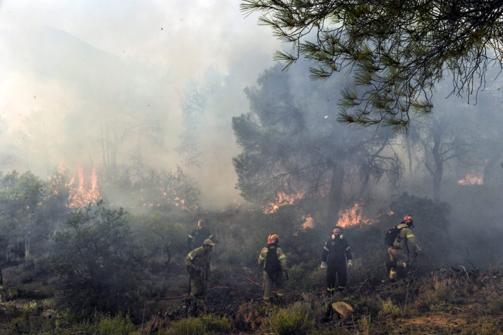 Εμπρηστική νομοθεσία και κροκοδείλια δάκρυα πάνω από τις στάχτες των δασών