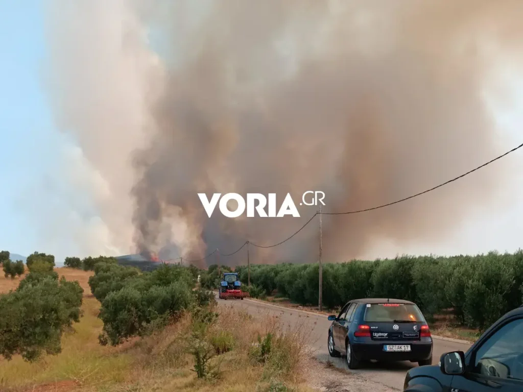 Θεσσαλονίκη: Έσβησε η φωτιά στον Πολύγυρο Χαλκιδικής