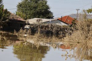 Μόνοι και έρημοι σαν τις καλαμιές στον κάμπο