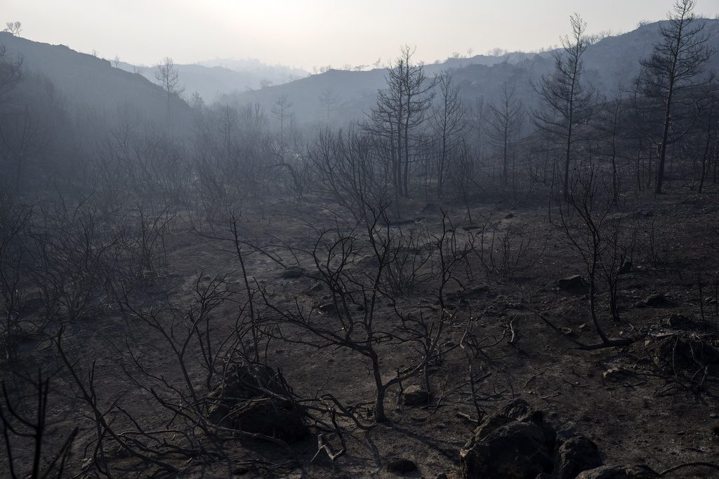 Meteo: Θλιβερή πρωτιά για την Ελλάδα – Καταγράφηκε 270% αύξηση στις καμένες εκτάσεις
