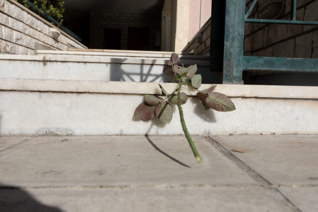 Νέα Σμύρνη: Στην ανακρίτρια ο 18χρονος για τη δολοφονία του αδελφού του