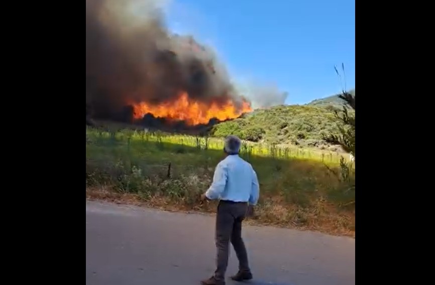 Μεγάλη φωτιά στον Άγιο Στέφανο Μονεμβασιάς (Video)