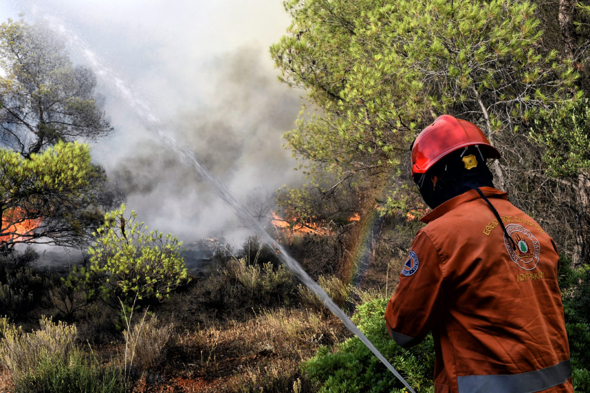 Boeotia: Hearth in an agroforestry space
 – 2024-05-26 17:28:00