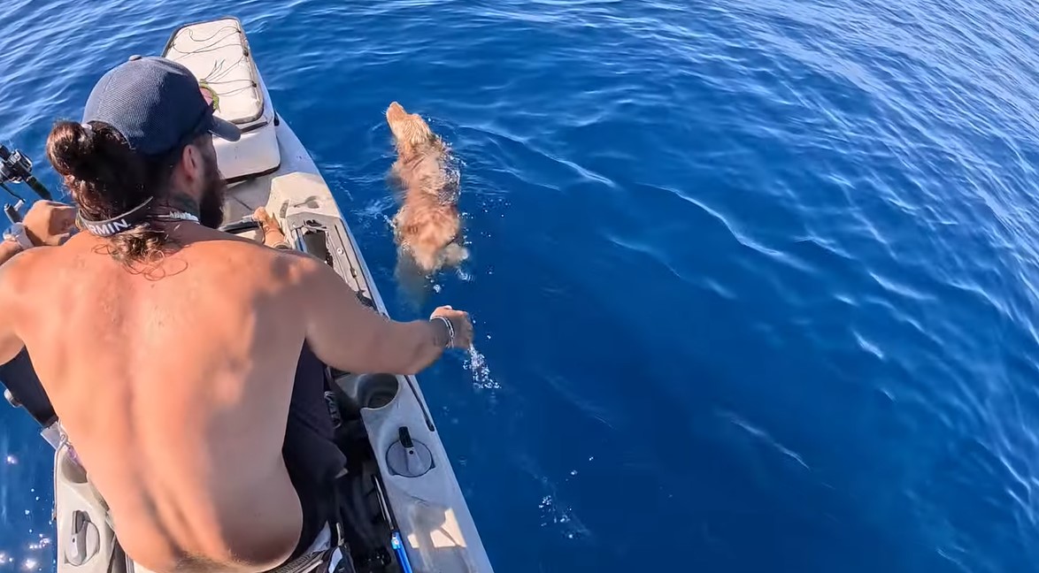 He went fishing in a canoe and located a canine swimming off the coast of Paros – The unbelievable rescue (Video)
 – 2024-05-15 07:31:58