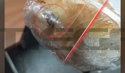 Σχολικά γεύματα: Σάντουιτς με κατσαρίδες και μουχλιασμένο ψωμί – Νέες σοκαριστικές καταγγελίες (Video)