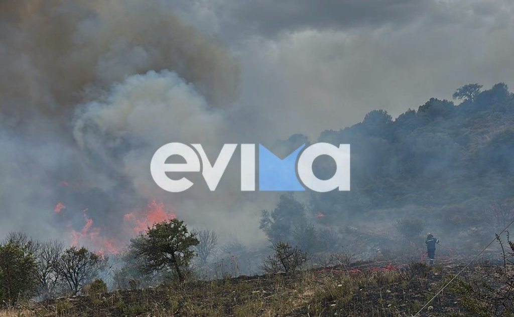 Εύβοια: Μεγάλη φωτιά τώρα στους Ζάρακες – Οι πρώτες εικόνες (Video)